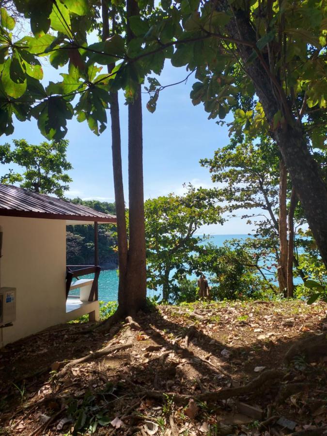 Top Bungalow with Balcony,1123197909:JPEG