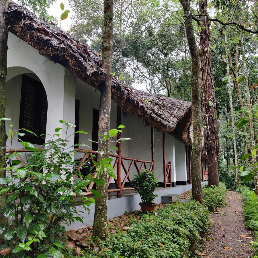 Elegant Room - Free Plantation Walk Tour with 10% Discount on F&SB & 15% off on SPA,1147043065:JPEG
