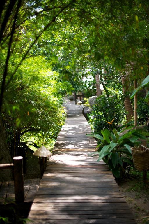 One-Bedroom Bungalow with Garden View - Superior House,63217825:JPEG