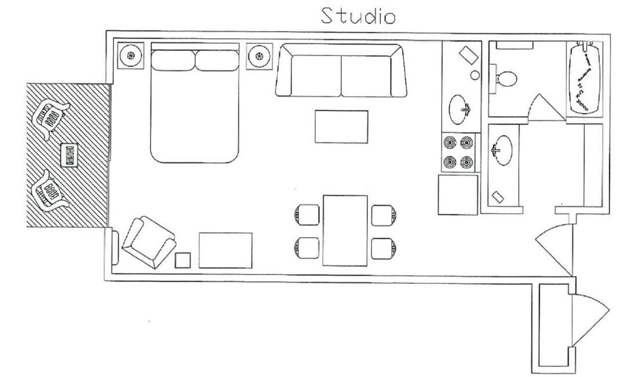 Studio with Mountain View