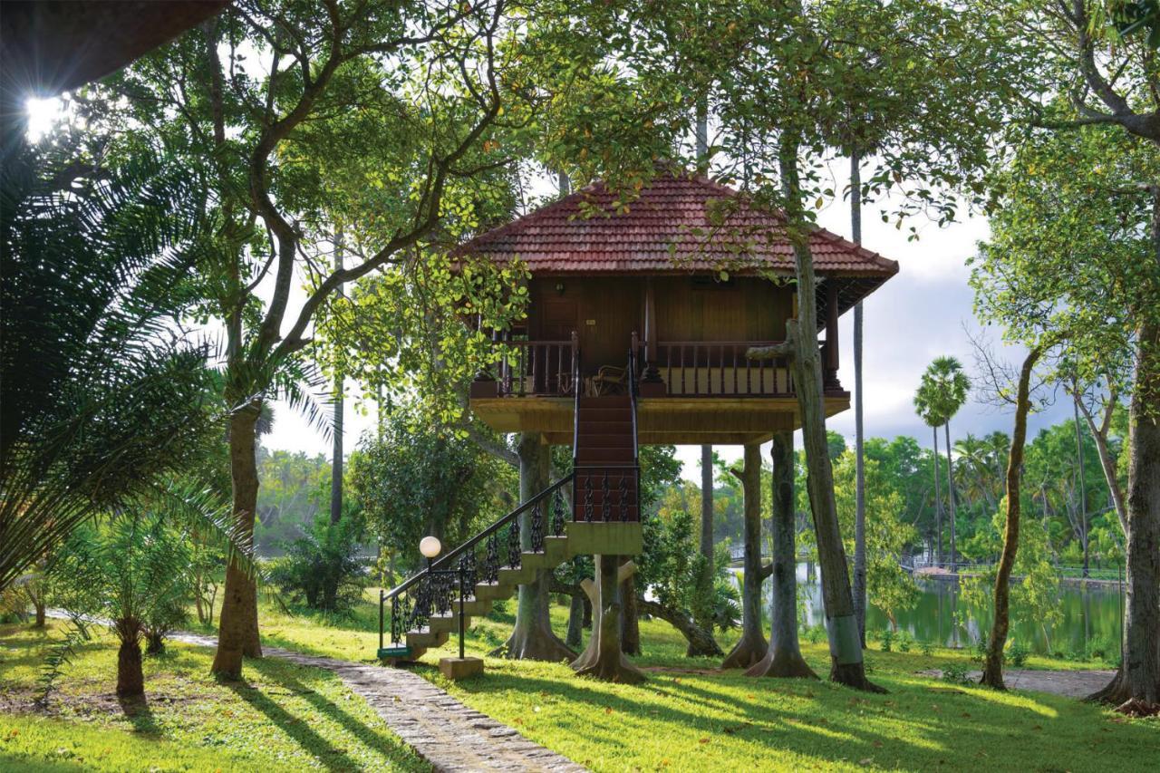 Tree House Complimentary INR 500 Hotel Credit redeemable on the Spa Applicable only guests utilising spa services totalling over Rs 5000,1642346828:JPEG