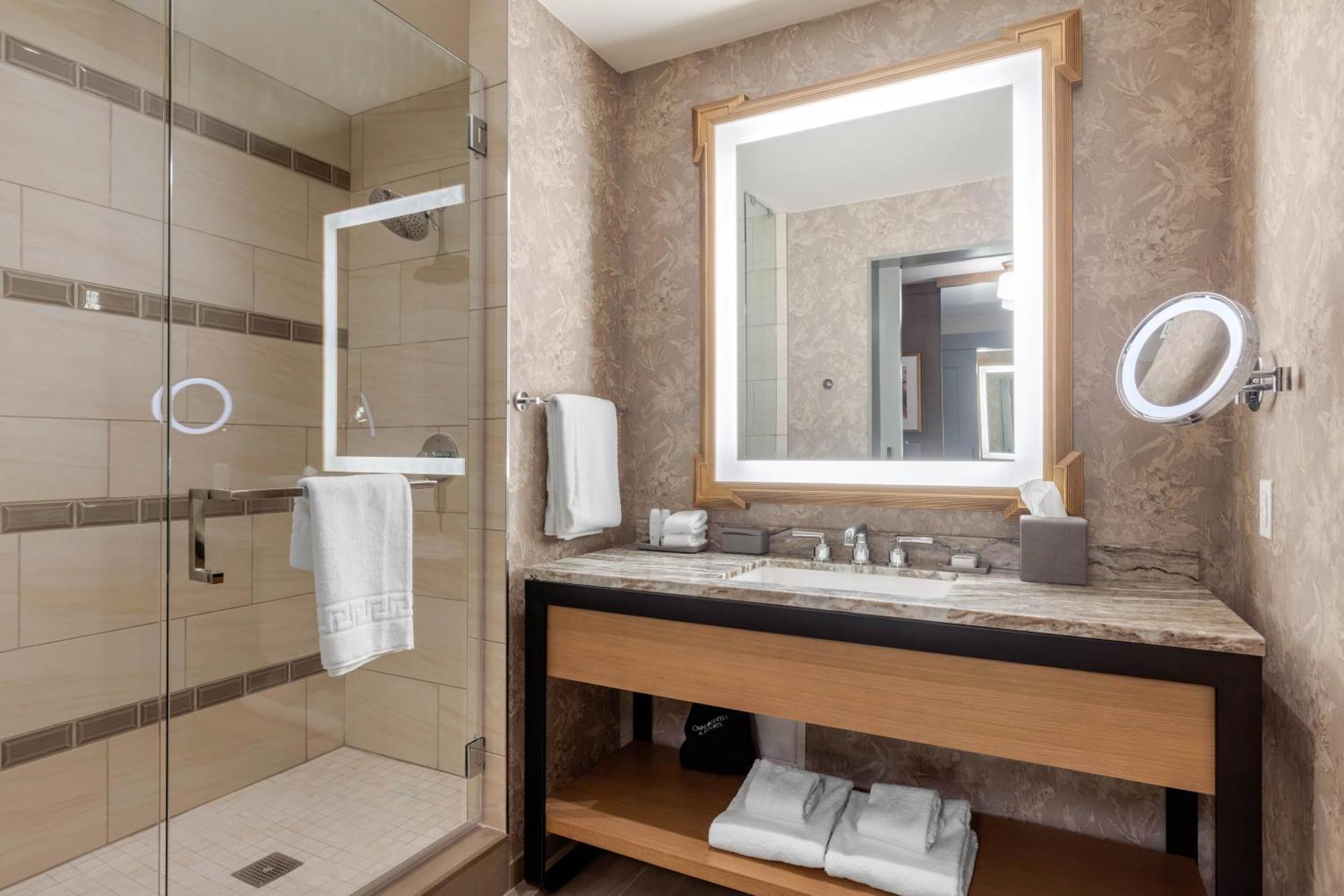 Premier Room - 1 King Bed