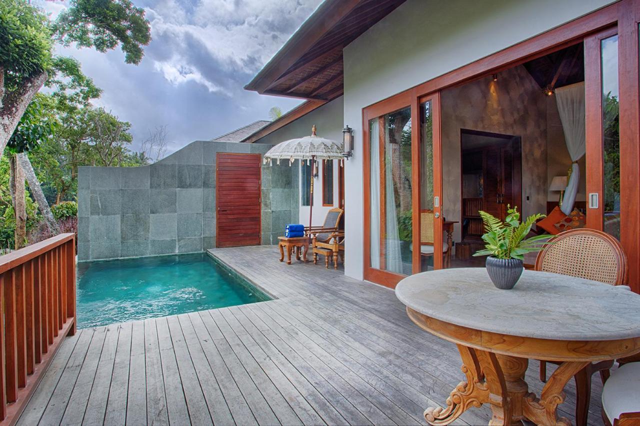 Family Pool Suite,517673526:JPEG