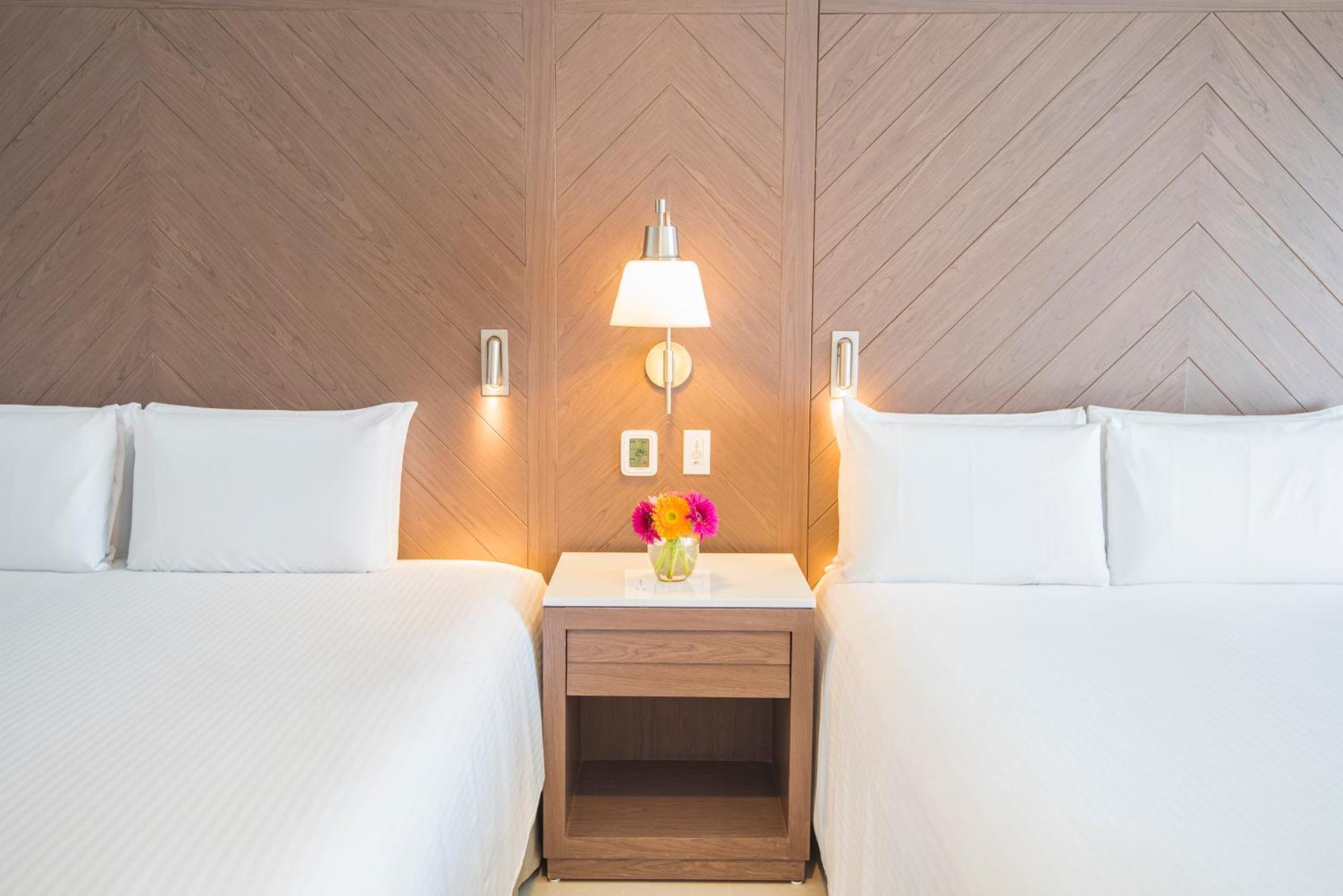 Standard 2 double beds,1273433434:JPEG