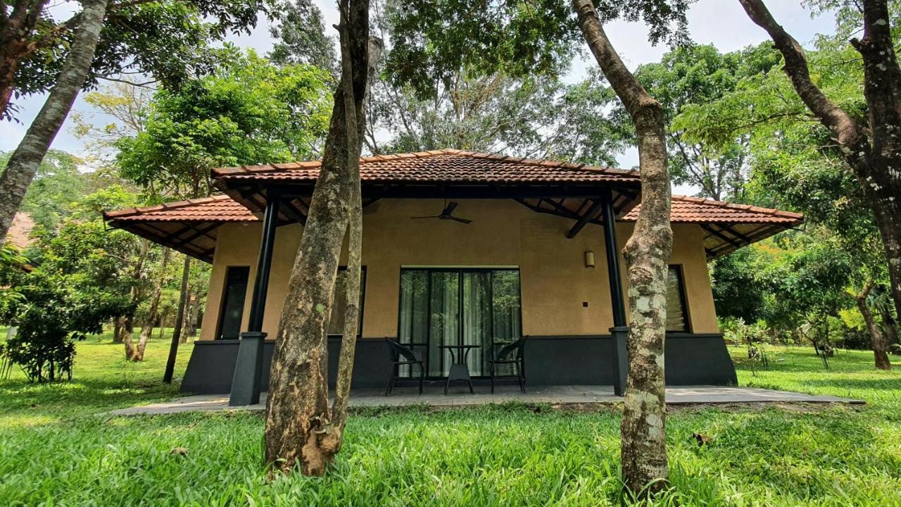 One-Bedroom Cottage