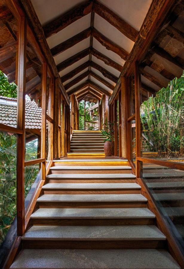 Estate Plavu,1356989891:JPEG