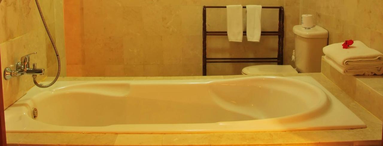 Deluxe Double or Twin Room Garden View