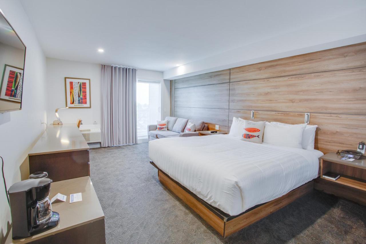 Premium Room One King with Sofa Bed - No Pets