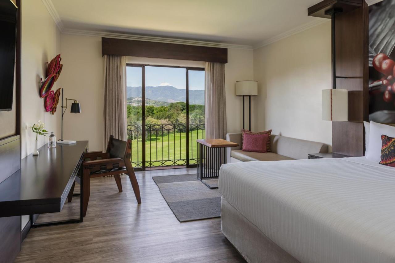 Executive Room,1370793968:JPEG