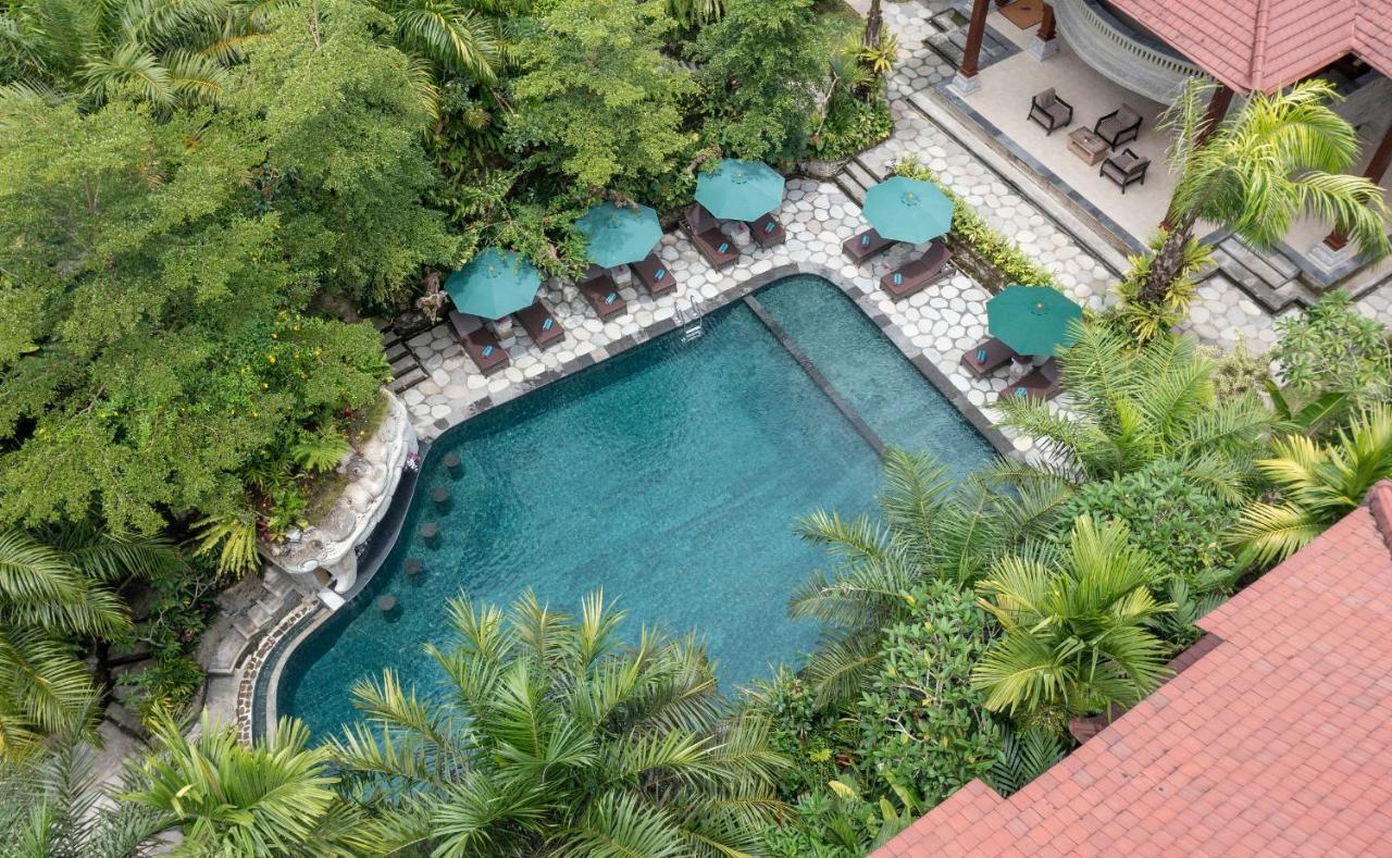 Suite Terrace