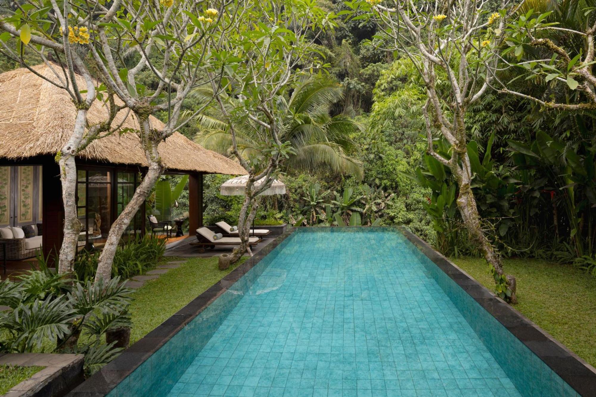 Riverfront Pool Villa 1 Bedroom Villa 1 King Riverfront