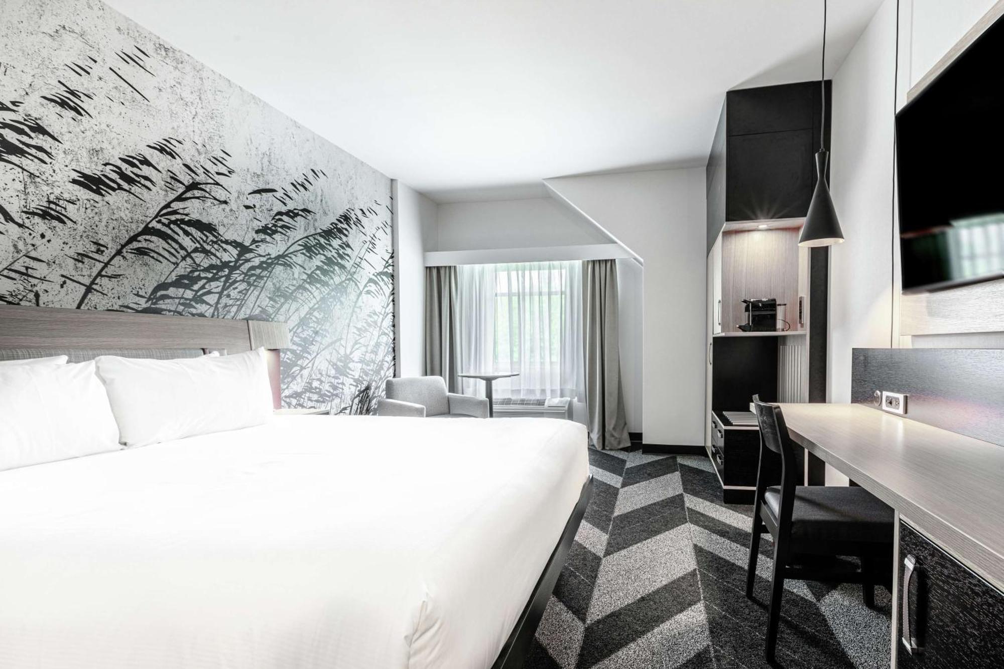 King Room,1551425131:JPEG
