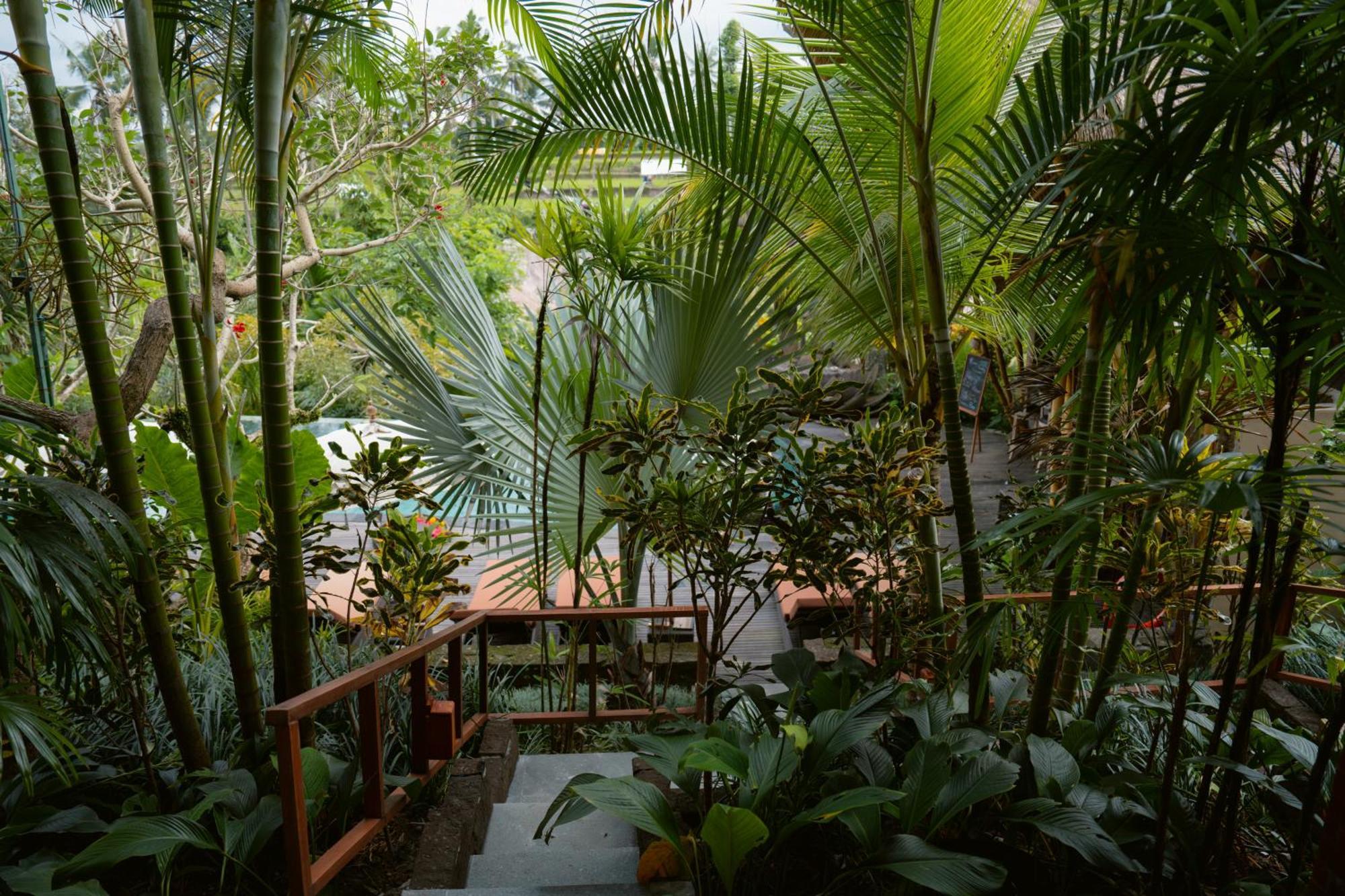 Suite Pool Access Daily Afternoon Tea