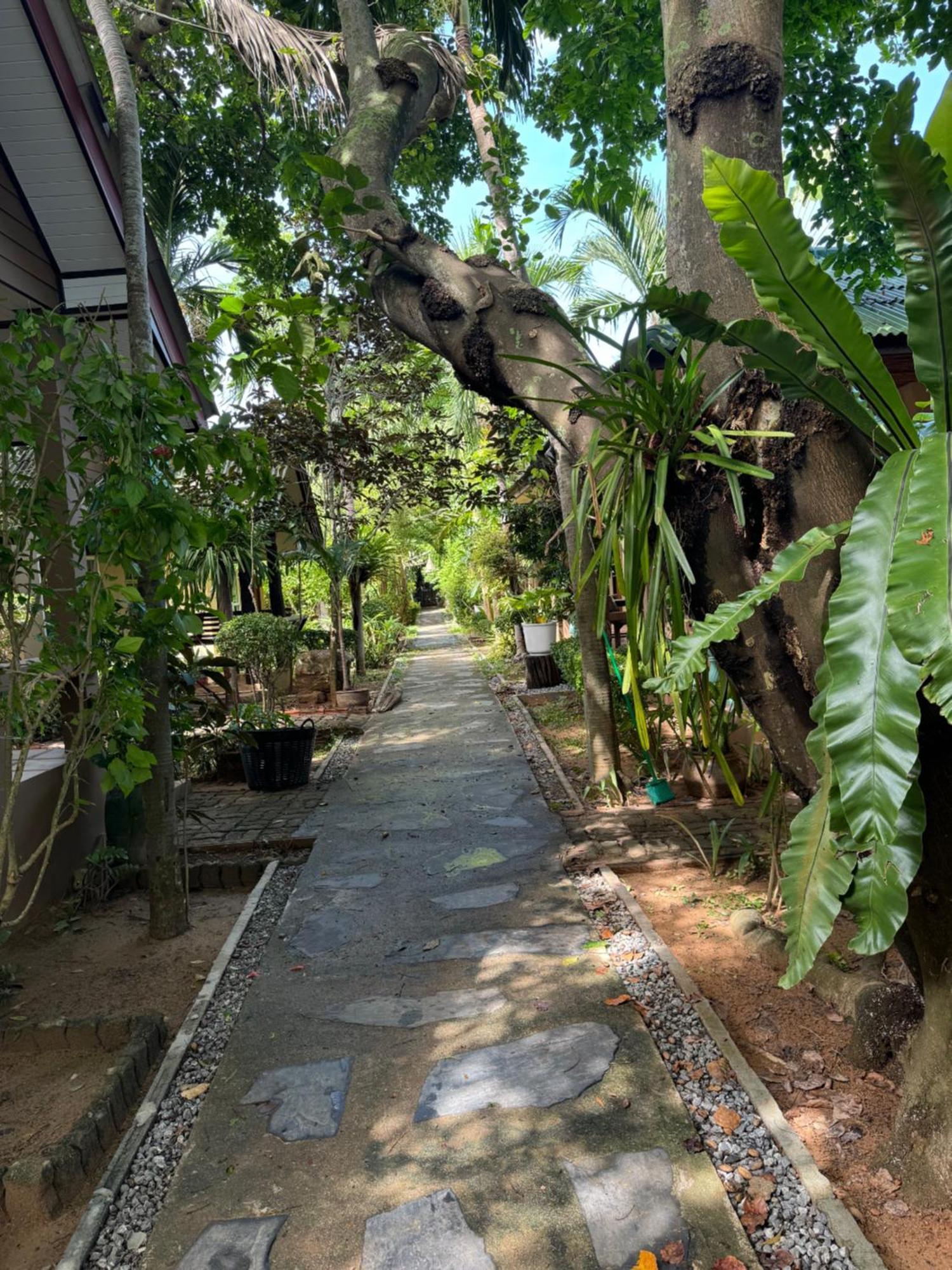 Standard Bungalow,1600222362:JPEG