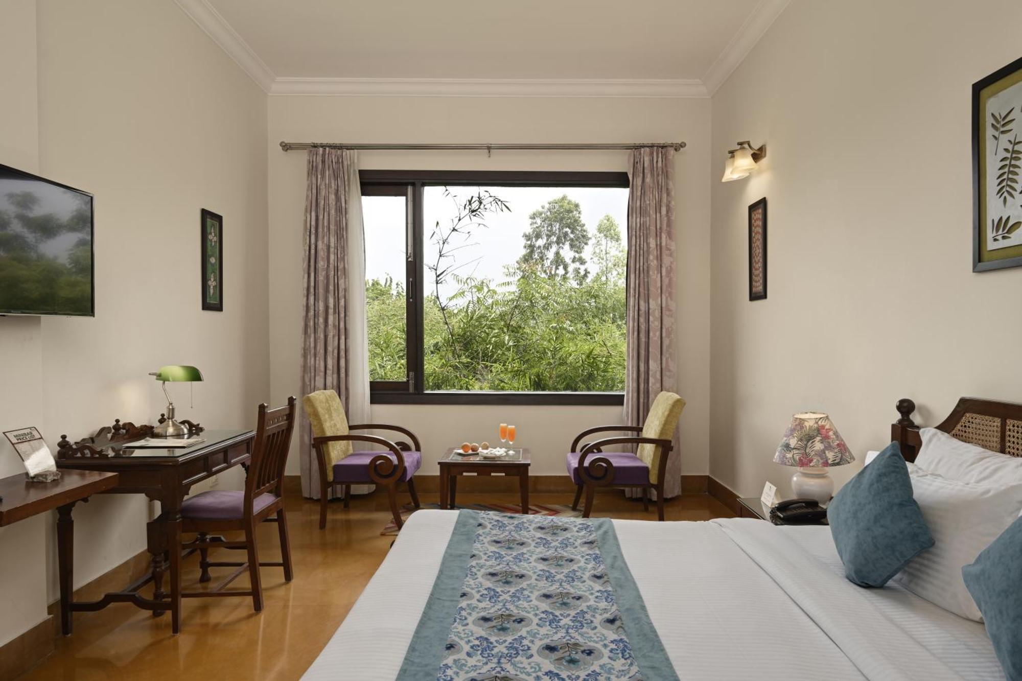 Premium room with common terrace