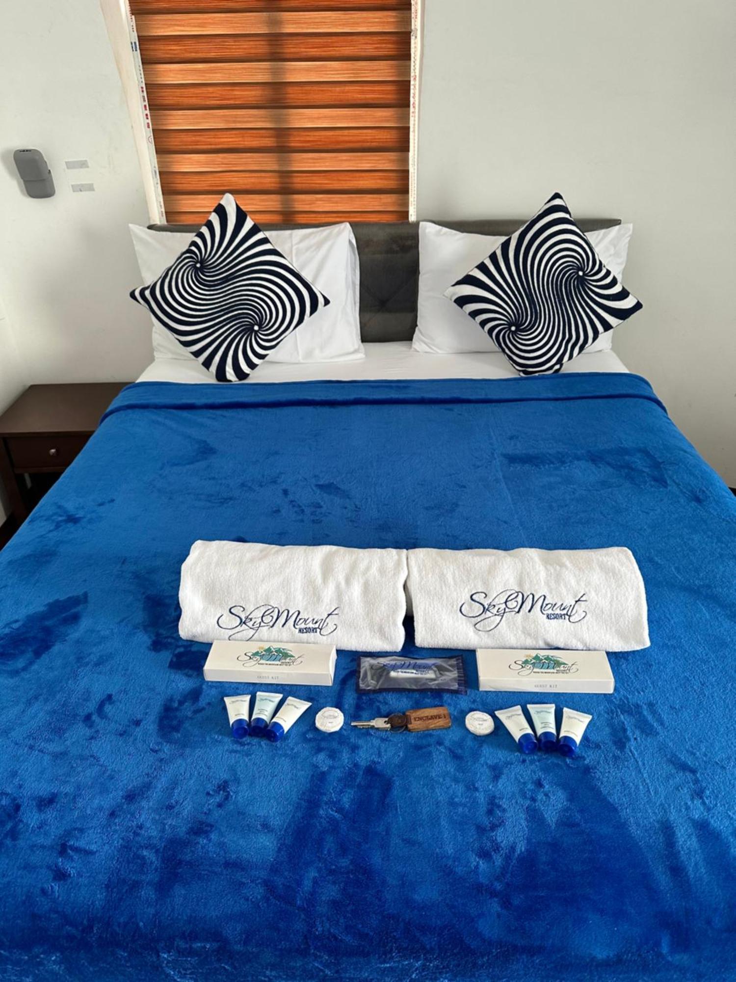 Deluxe Double or Twin Room with Pool Access