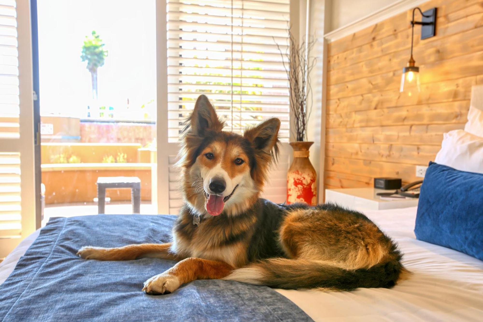 Double Room with Garden View,1629389870:JPEG