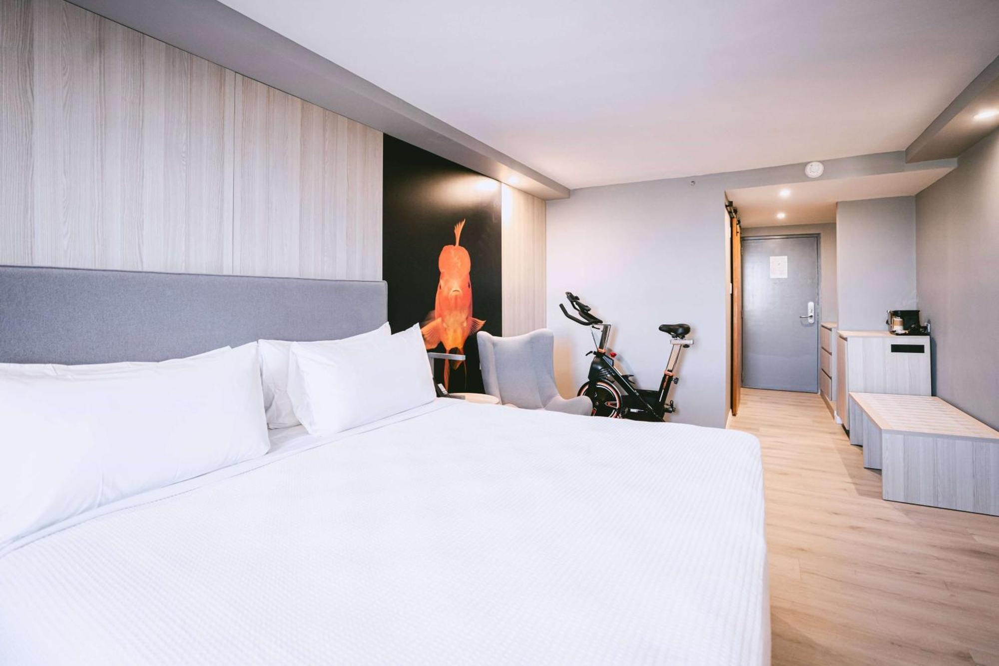 Fitness Room One King Bed,1633677370:JPEG