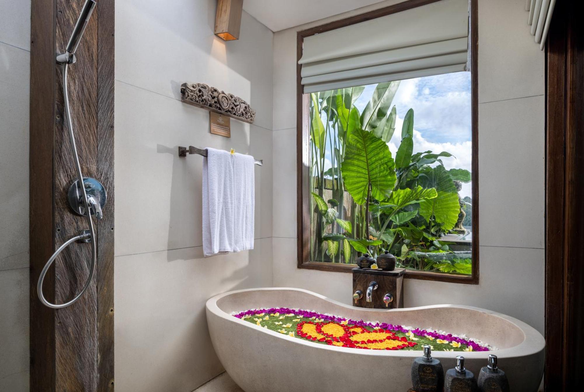 Luxury Valley Villa Infinity Pool