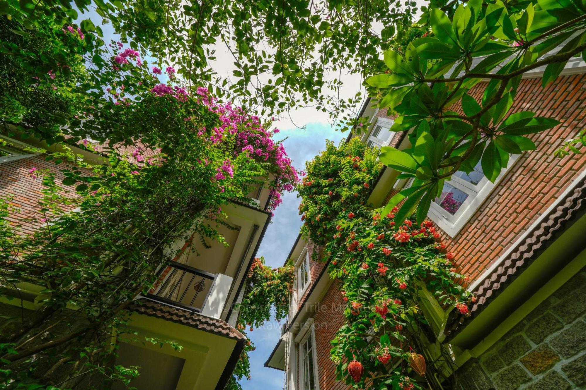 Quadruple Room Garden View,1677895719:JPEG