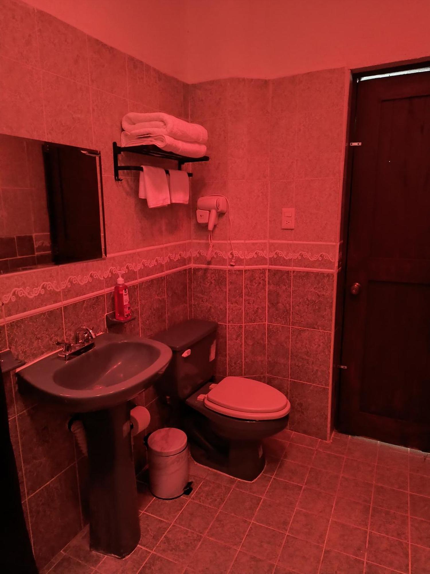 Family Studio,1683462342:JPEG