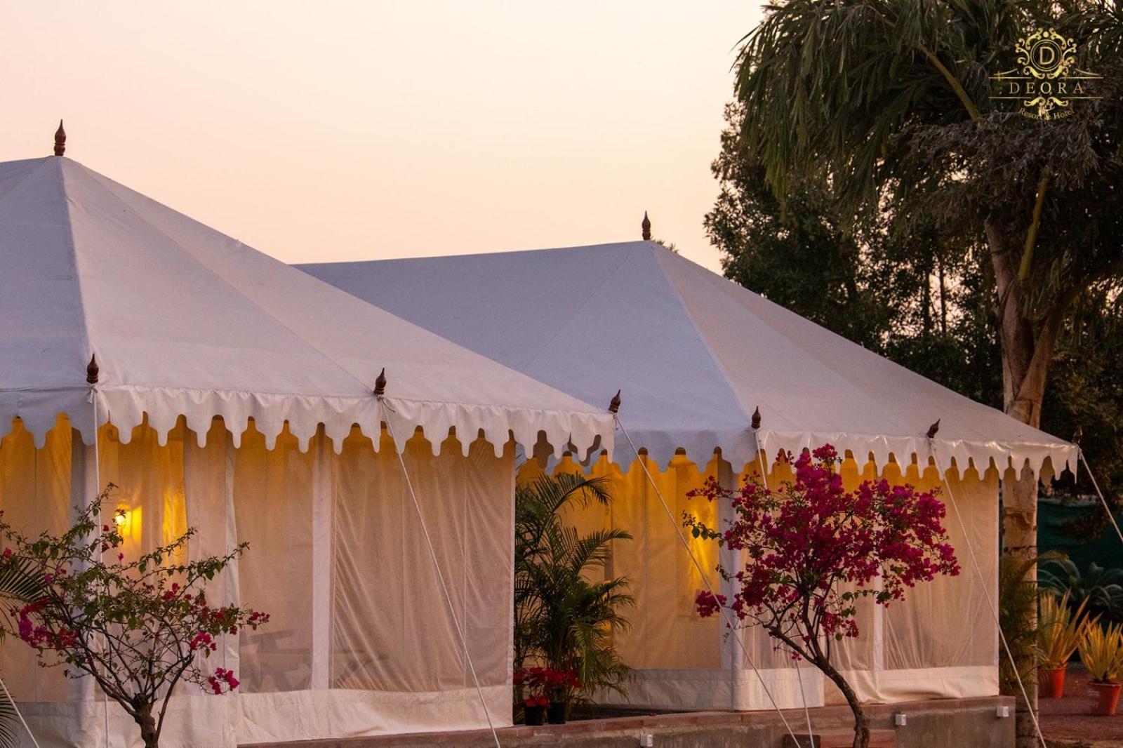 Tent,1689158436:JPEG