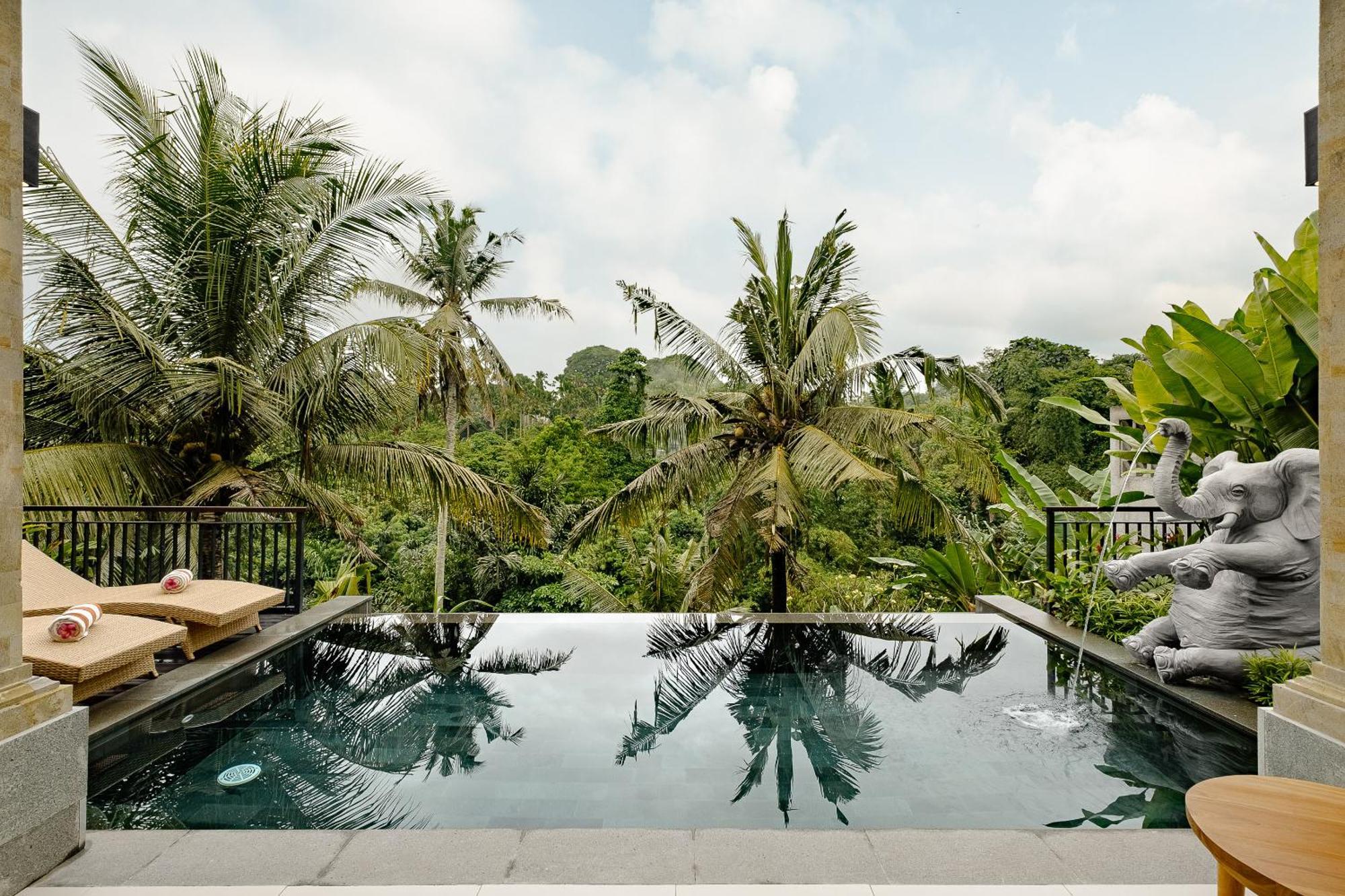 One Bedroom Suite Pool Villa with Valley View