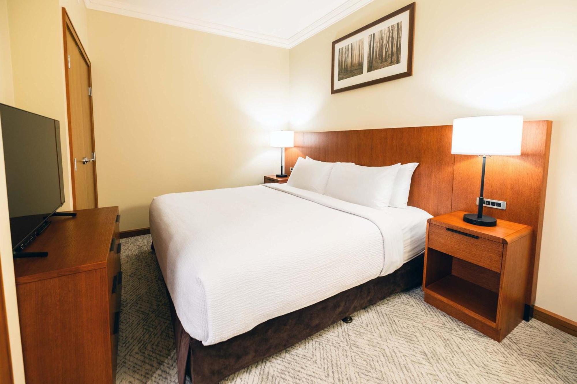 Studio Premium Suite 1 King Bed Sofa Bed,1742673481:JPEG