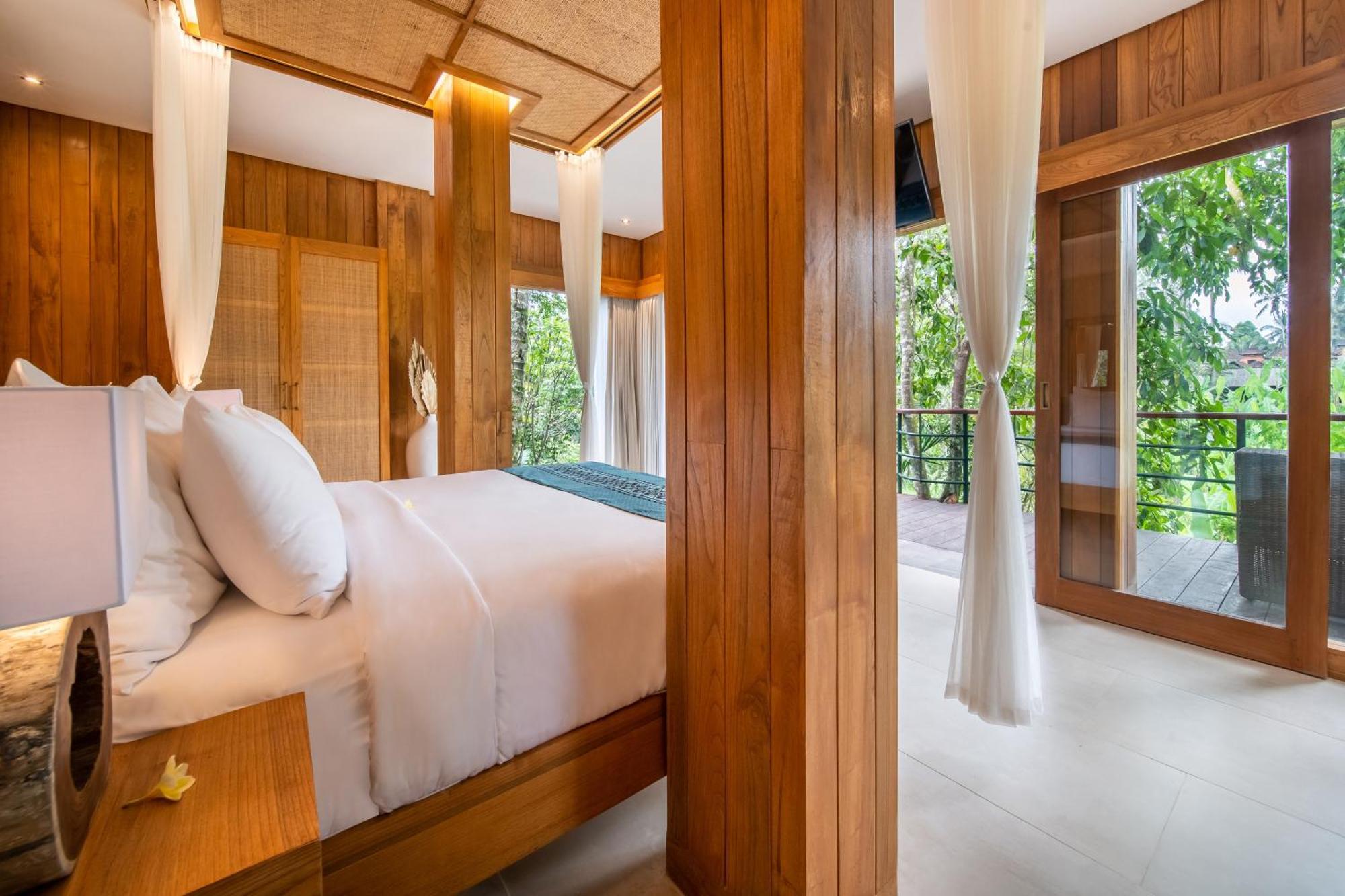 Jungle Suite King Daily Scheduled Activities