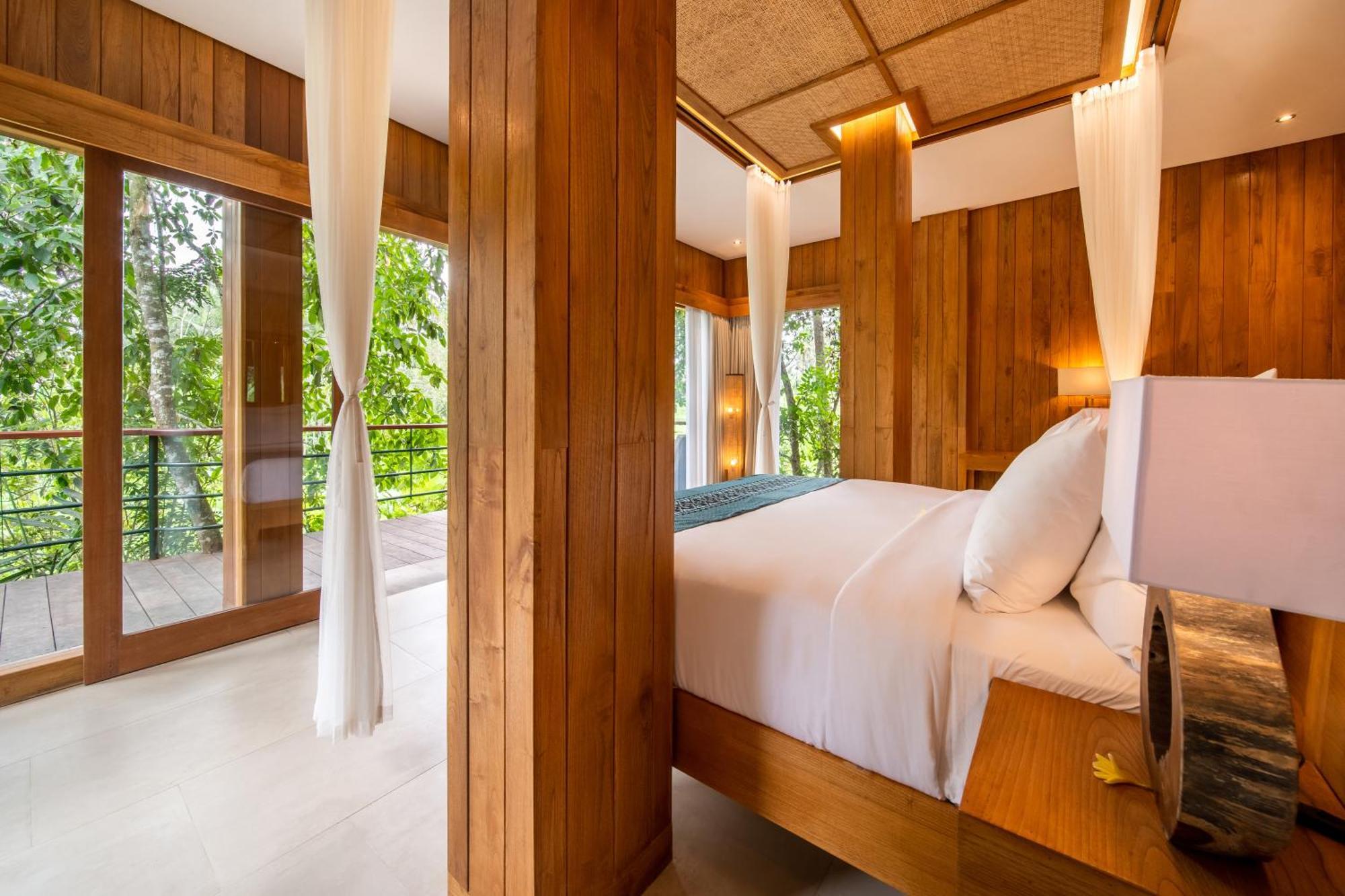 Jungle Suite King Daily Scheduled Activities