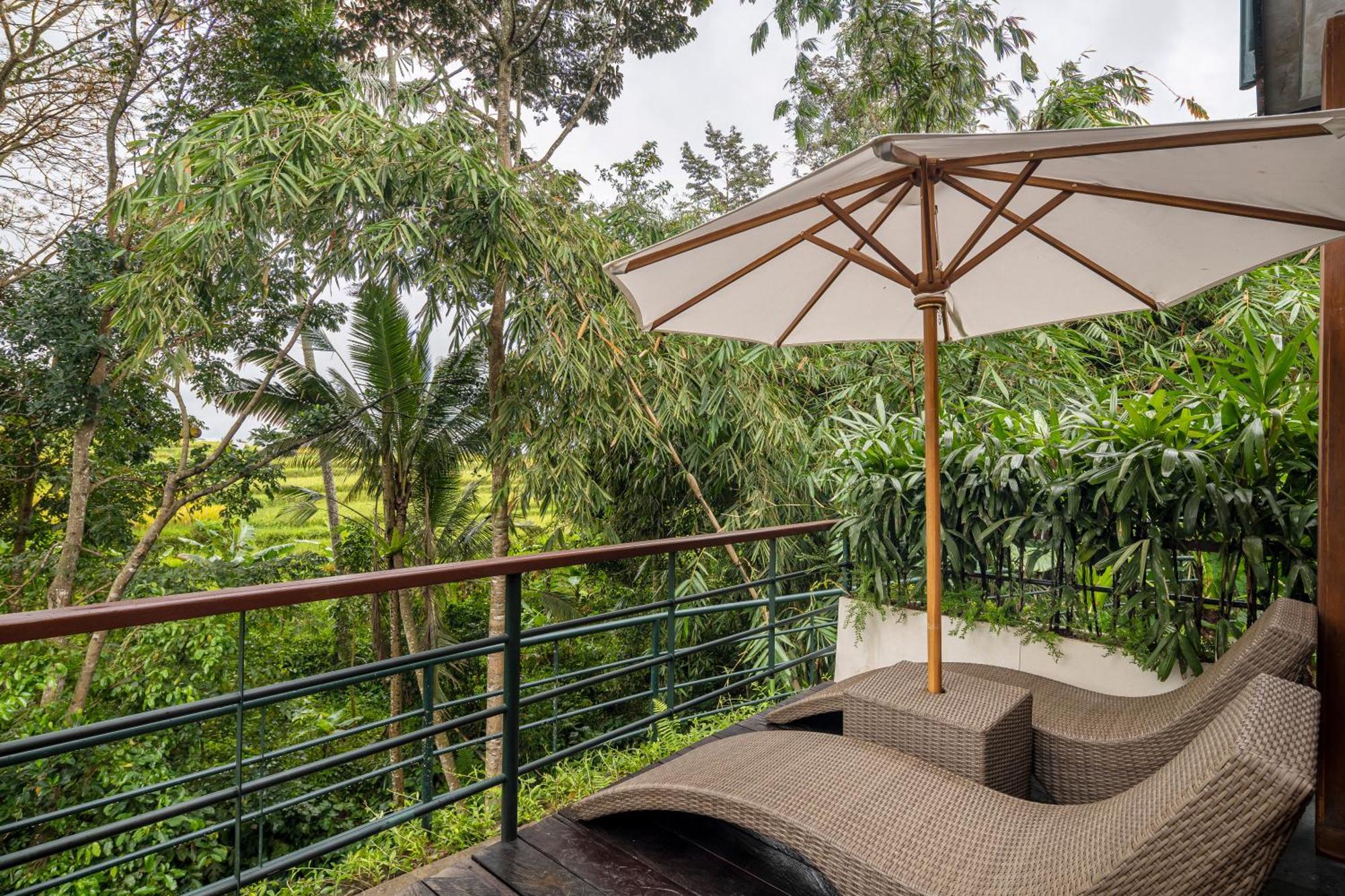 Jungle Suite King Daily Scheduled Activities