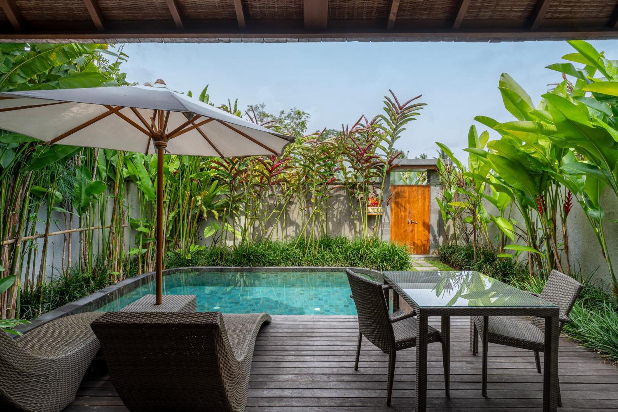 One-Bedroom Villa Private Pool Daily Scheduled Activities
