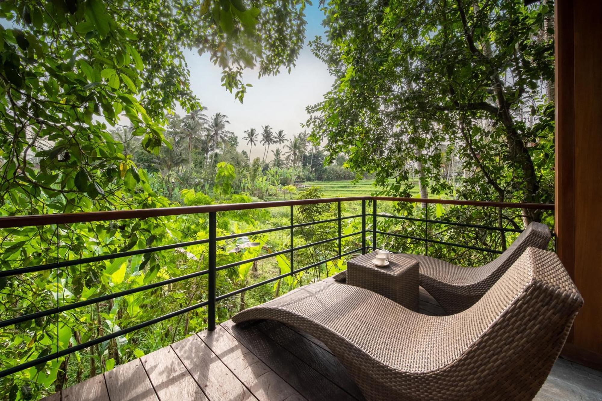 Jungle Suite King Daily Scheduled Activities