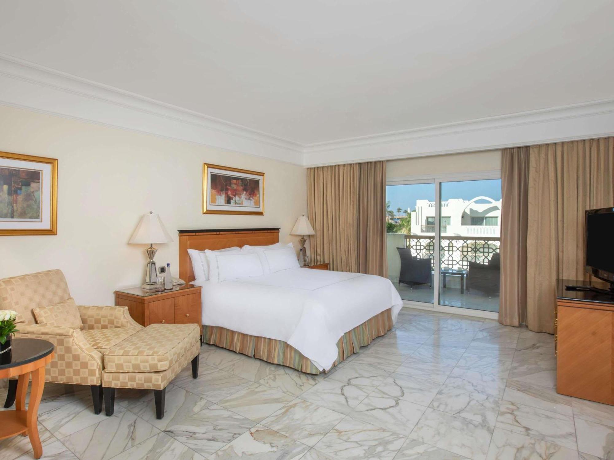 Suite Adult