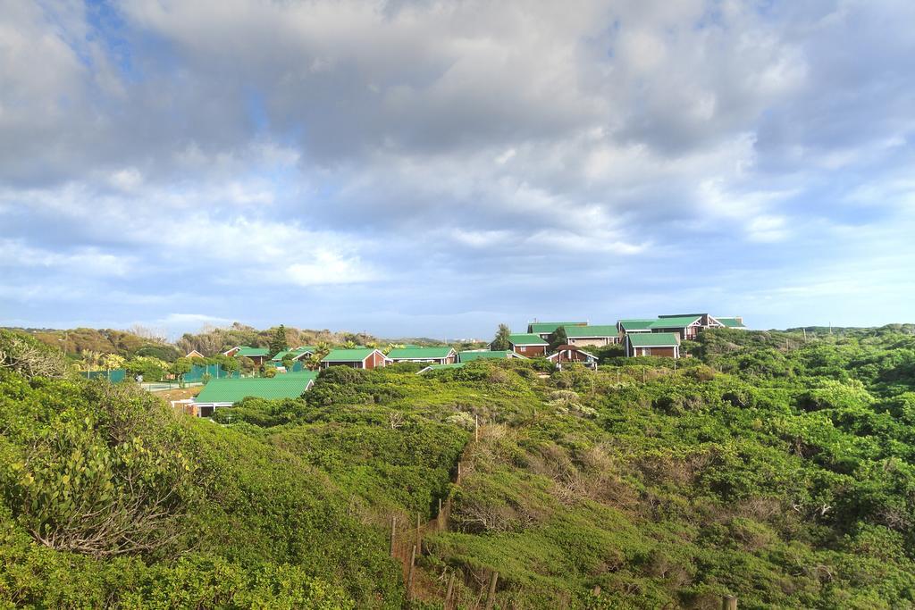 Twin Chalet -Site Cabin,184918485:JPEG