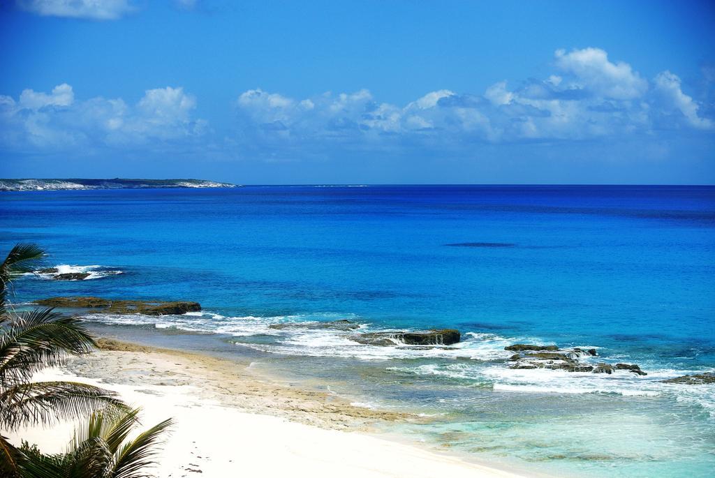 Three-Bedroom House,339307621:JPEG