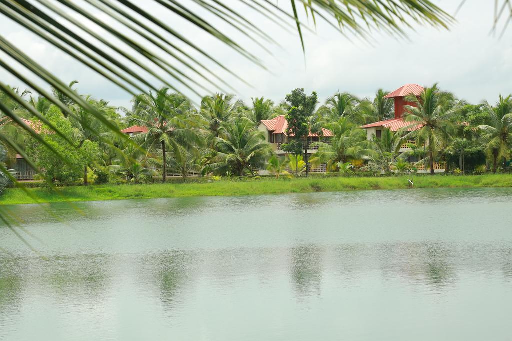 Premium Lake View