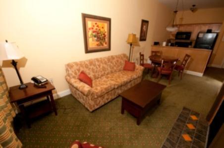 Deluxe One-Bedroom Condo