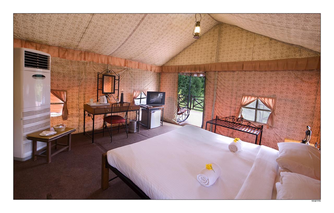 Classic Tent with Sitout,584871975:JPEG