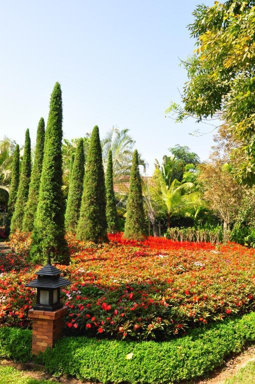 Superior Double Room with Garden View