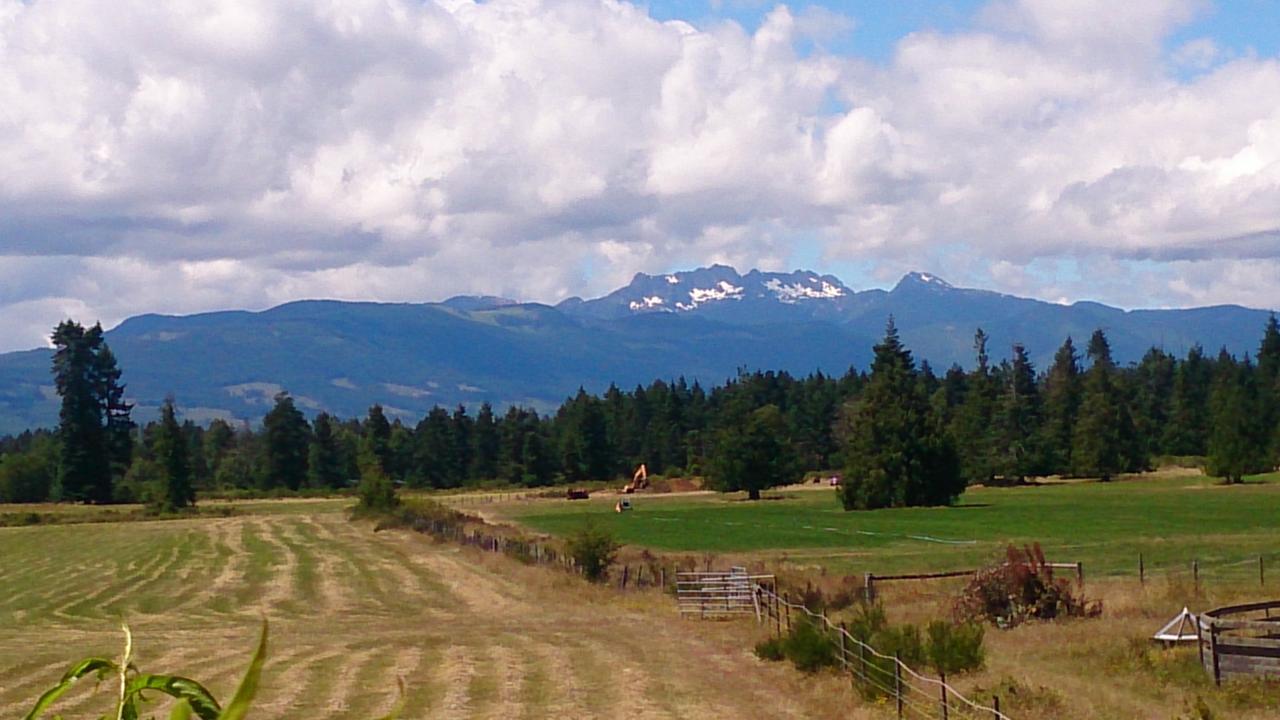 King Room with Mountain View