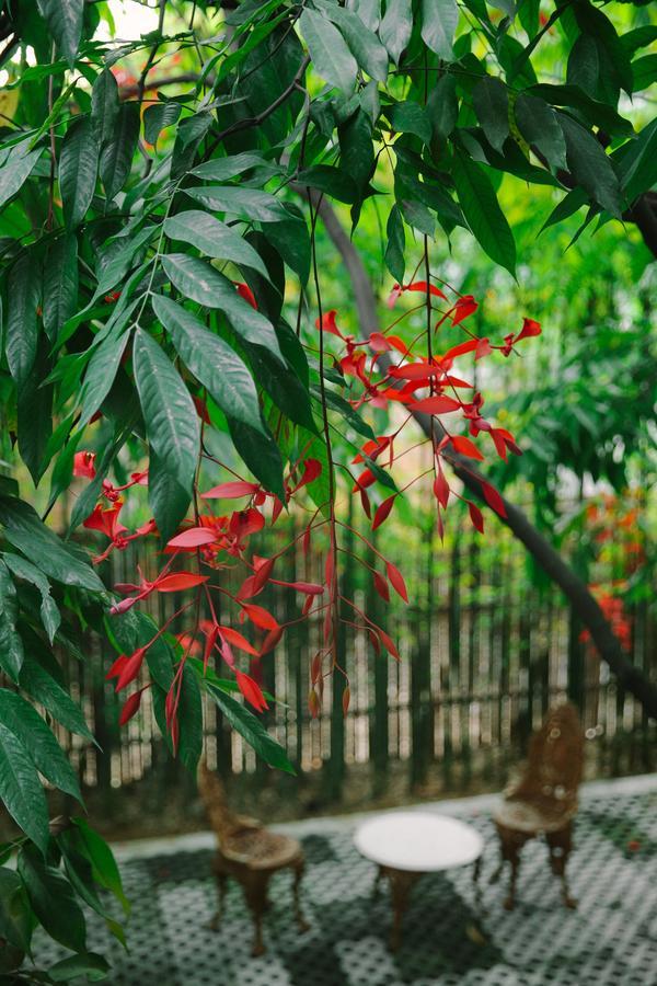 3 bedroom Villa with Private Pool,1357275548:JPEG