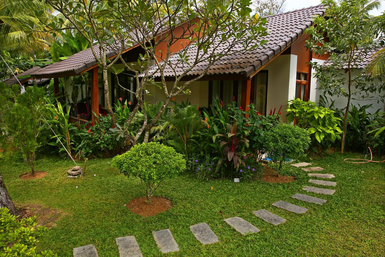 Bungalow Garden View,644786382:JPEG