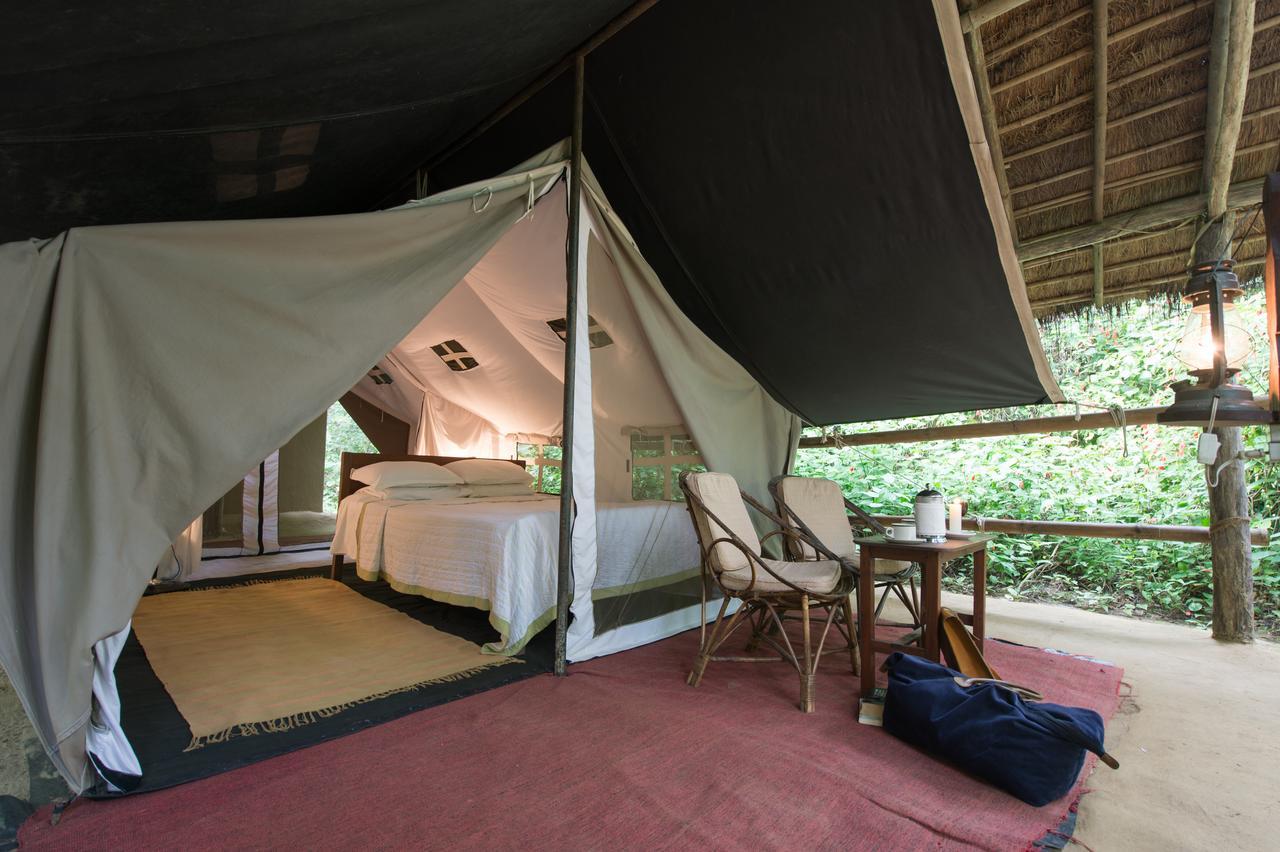 Safari Tent Double,1418548014:JPEG
