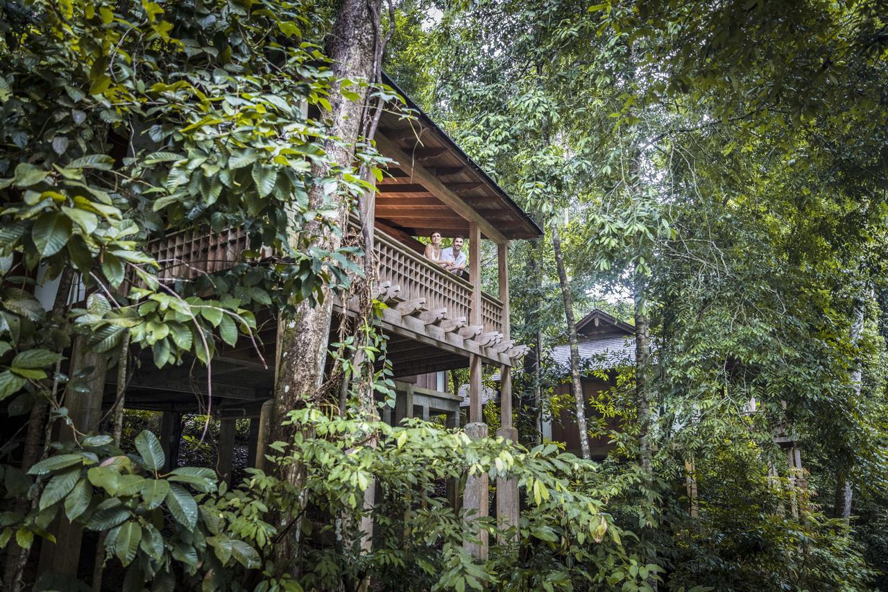Villa Rainforest mit Kingsize-Bett oder 2 Einzelbetten