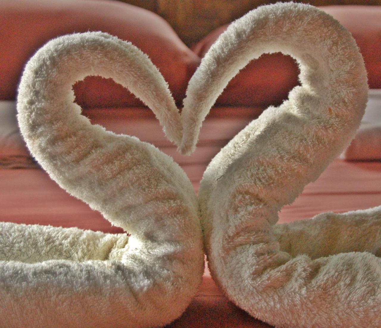 Family Junior Suite,724026160:JPEG