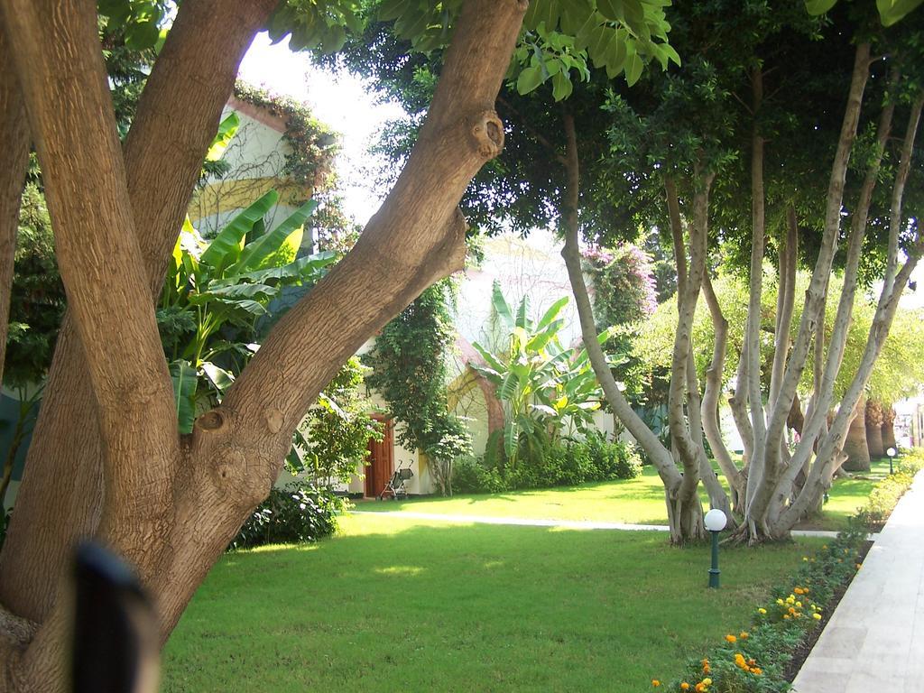 Standard Triple Room,74999075:JPEG