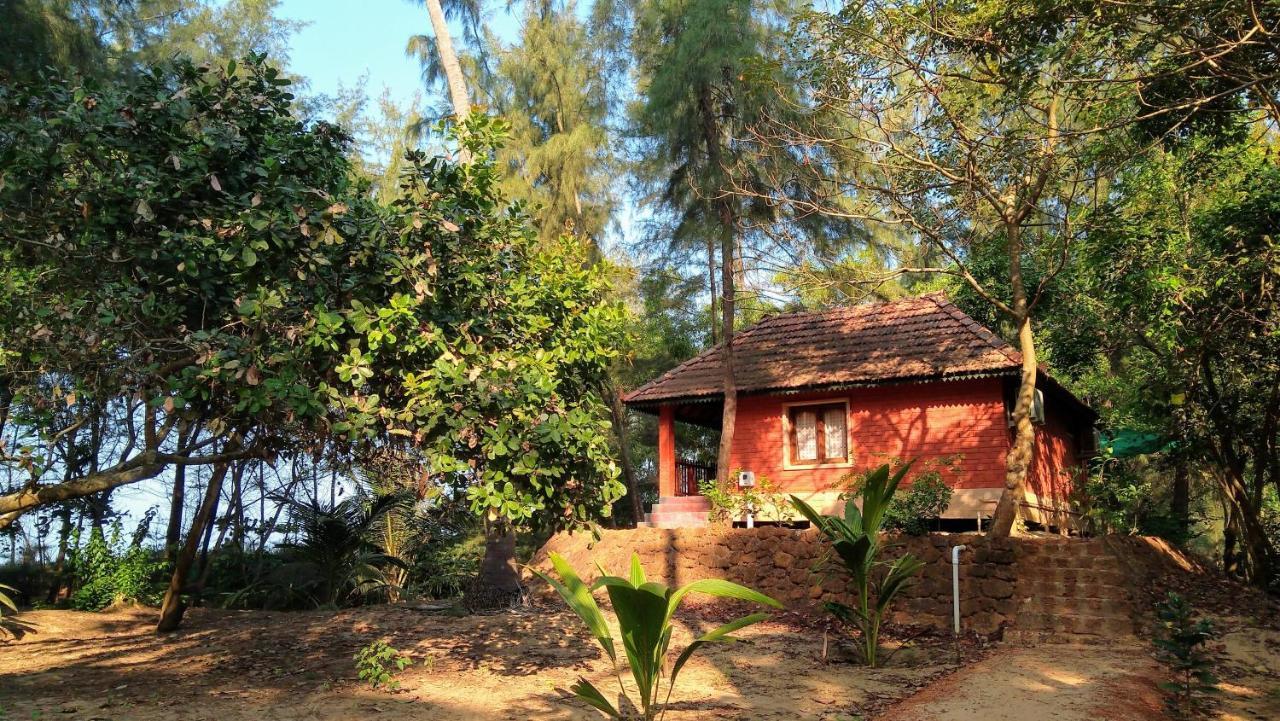 Cottage - Beach Front