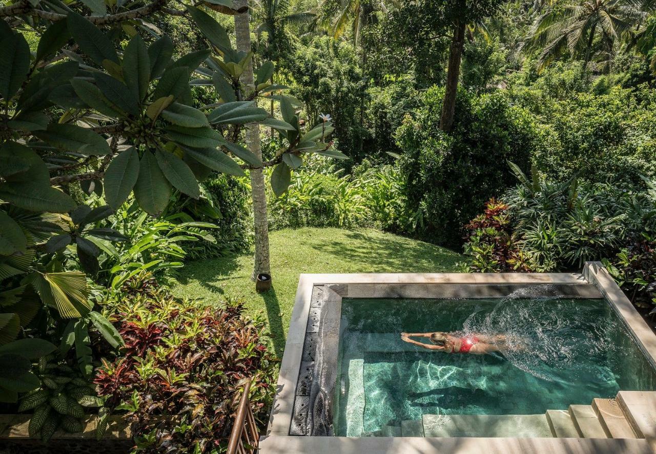 One Bedroom Villa,1212948490:JPEG