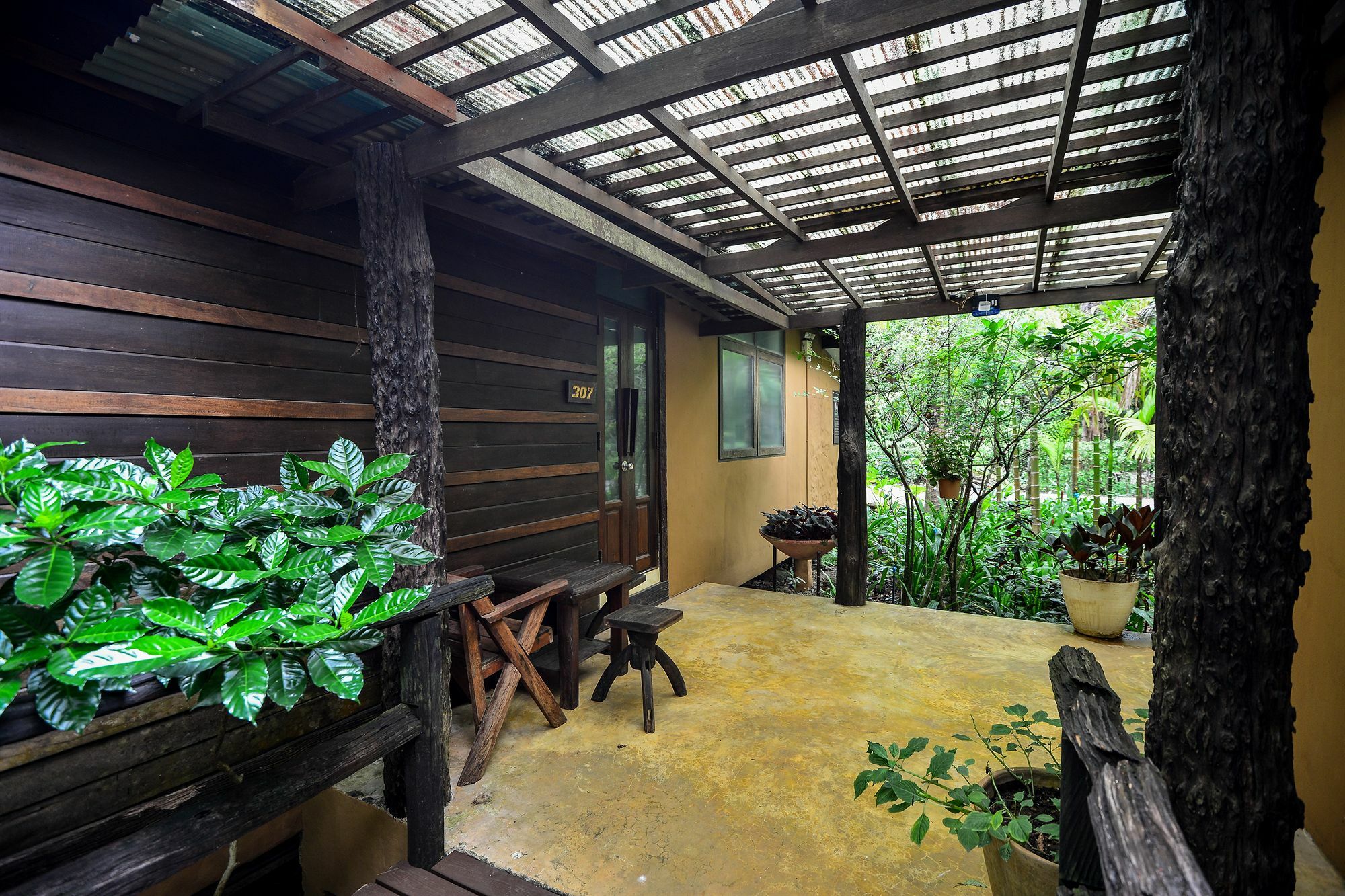 Standard Double Oriental Room